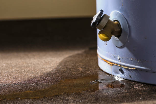 Best Flood damage cleanup  in Grandyle Village, NY