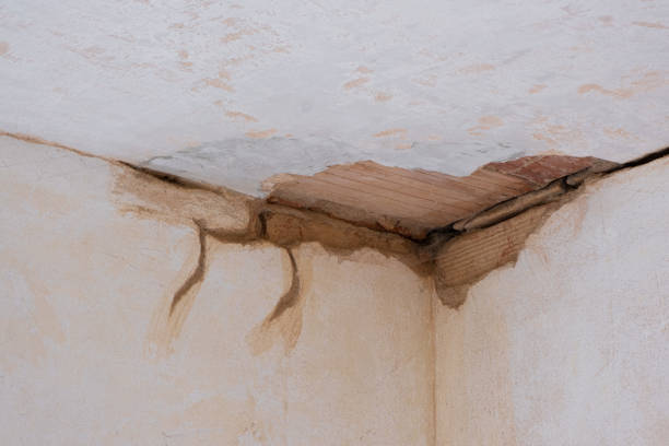 Best 24/7 water damage repair  in Grandyle Village, NY