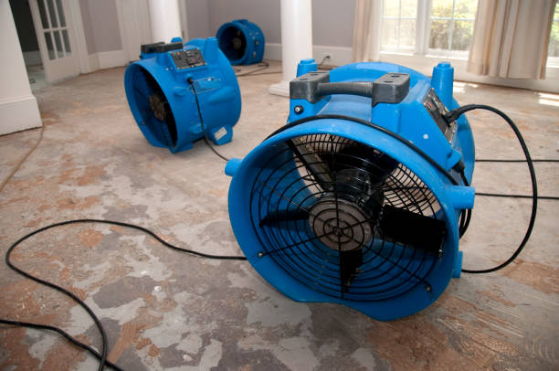 Best 24-hour water damage restoration  in Grandyle Village, NY