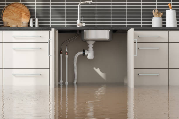Best Water damage restoration experts  in Grandyle Village, NY
