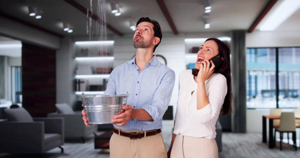 Best Basement water damage restoration  in Grandyle Village, NY